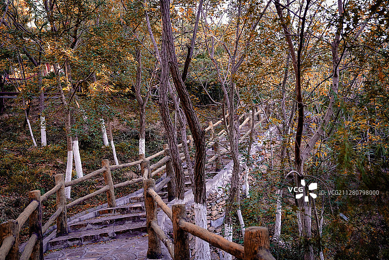 北宫国家森林公园（16）2019-10-25图片素材