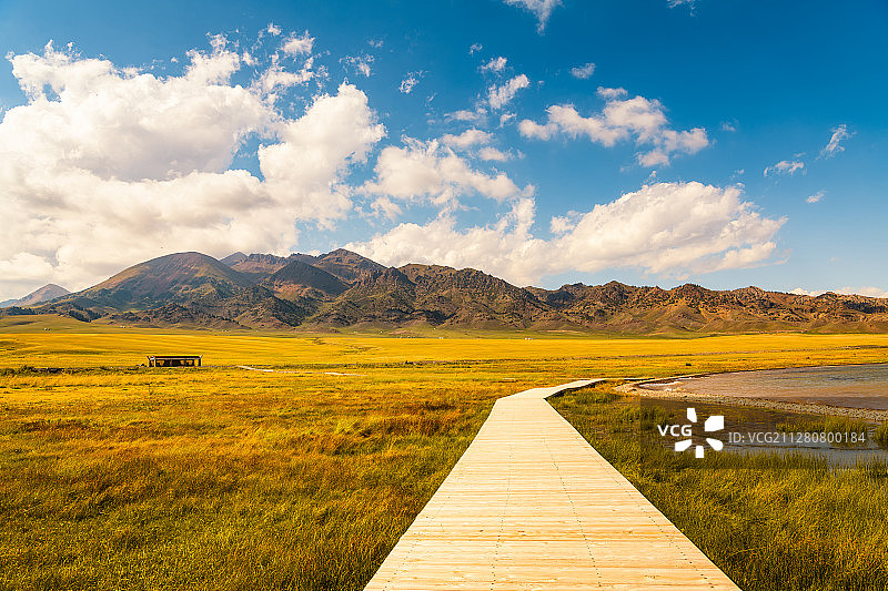 中国新疆赛里木湖景区栈道山峰草地图片素材