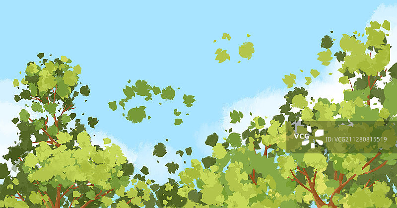 夏季叶子图片素材