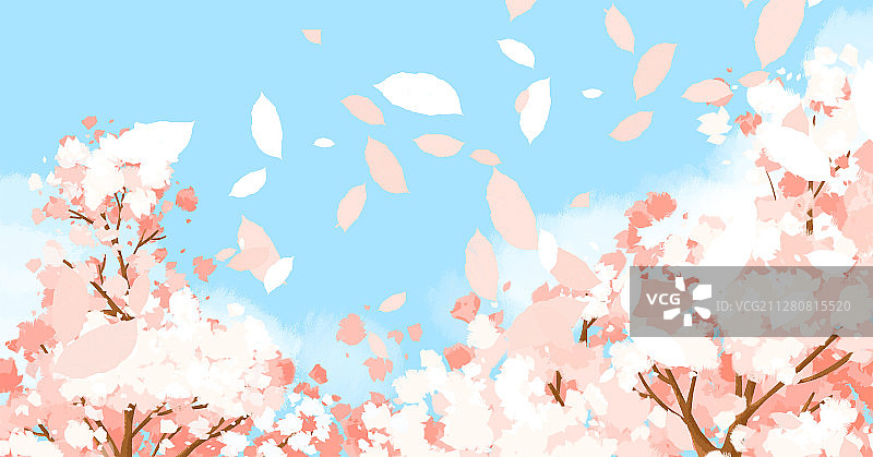 春季樱花图片素材