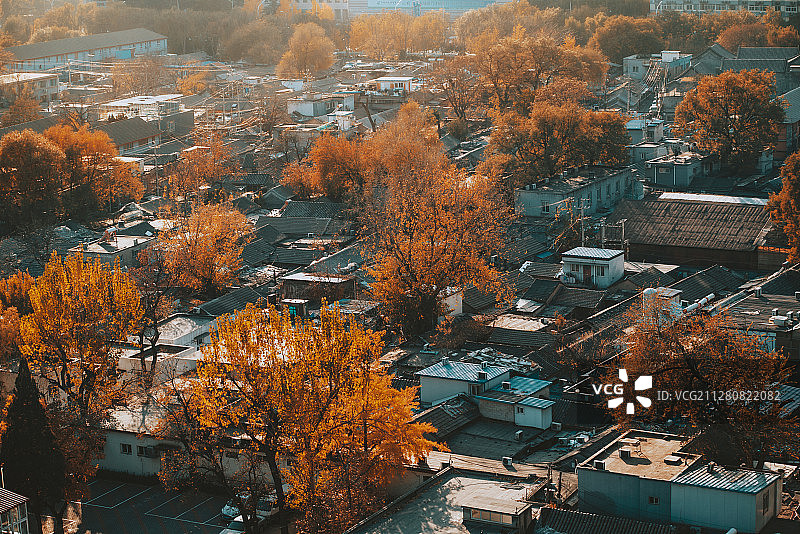 北京胡同秋天图片素材