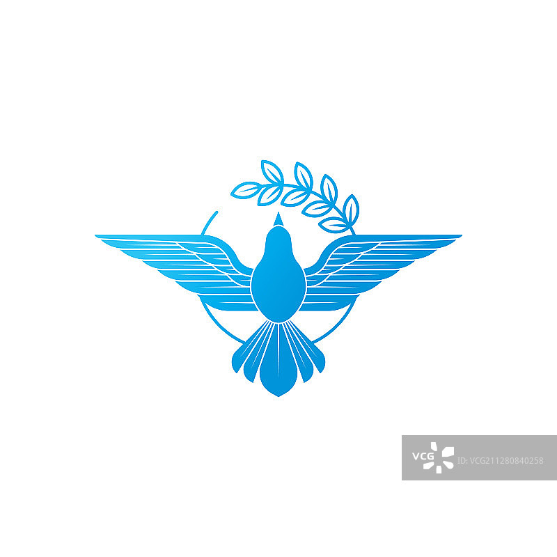 飞翔的和平鸽，衔着橄榄枝图片素材