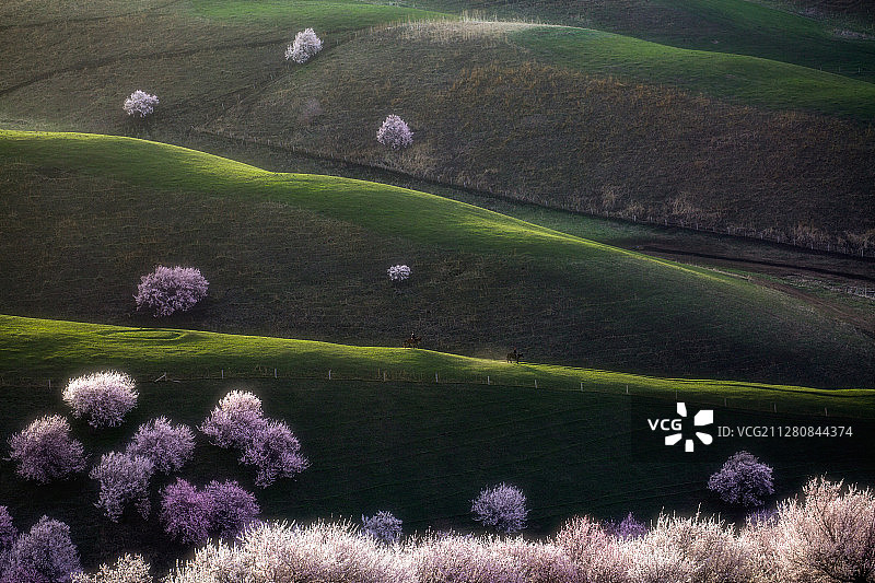 早晨第一缕阳光下的新疆伊犁吐尔根杏花沟图片素材