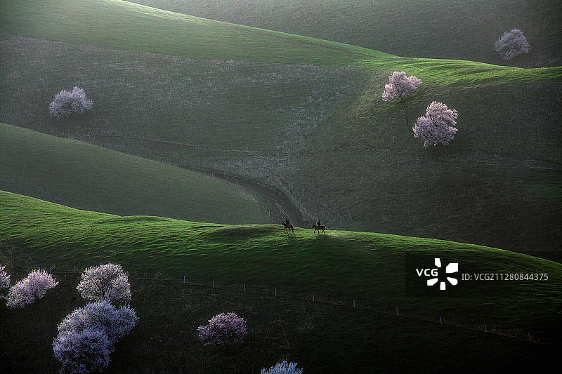 春天第一缕阳光下的新疆伊犁吐尔根杏花沟图片素材