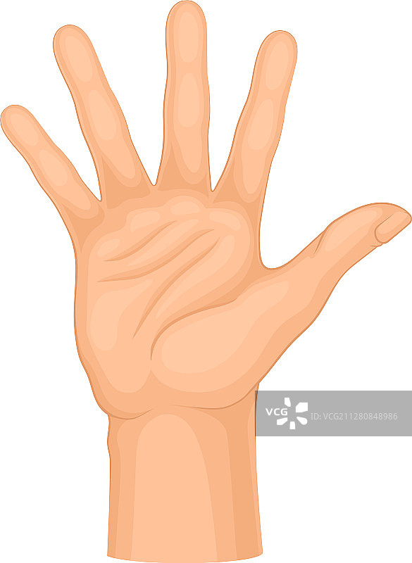 手掌手势详细轮廓示意图图片素材