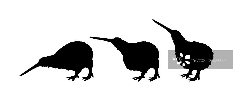 白色背景下的奇异鸟轮廓图片素材