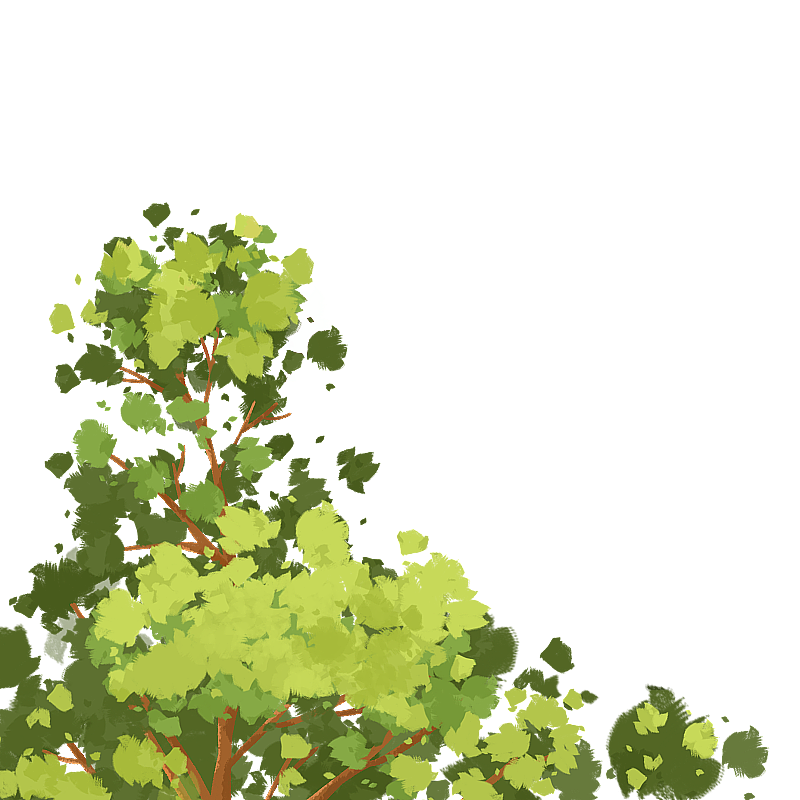夏季树顶叶子图片素材