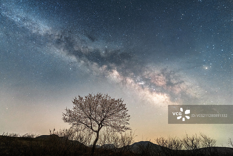 山东临沂星空下的银河之树图片素材