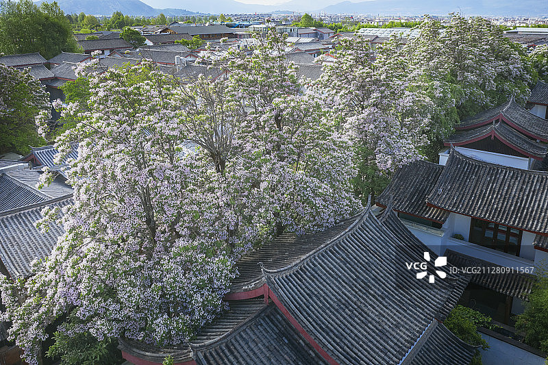 束河古镇图片素材