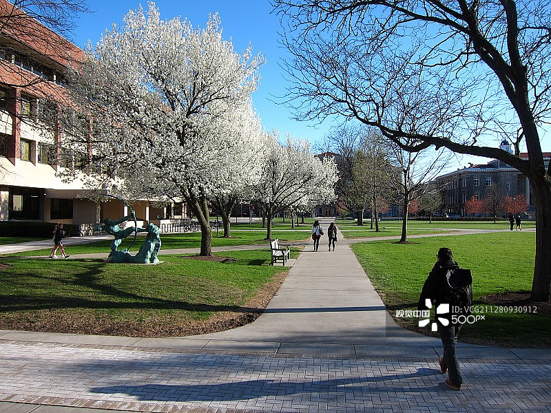 纽约锡拉丘兹大学图片素材