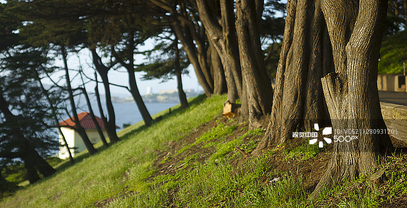 梅森堡图片素材