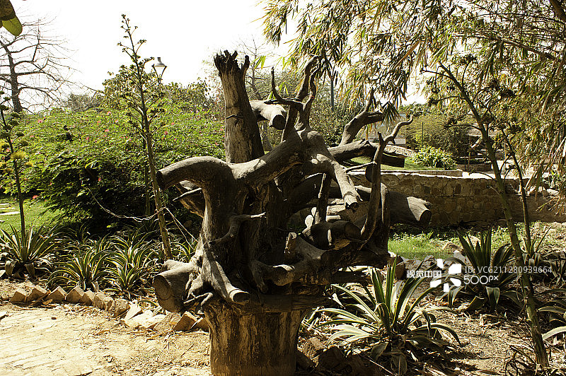 花园内的木制雕塑图片素材