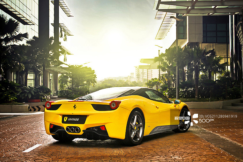 沐浴阳光2图片素材