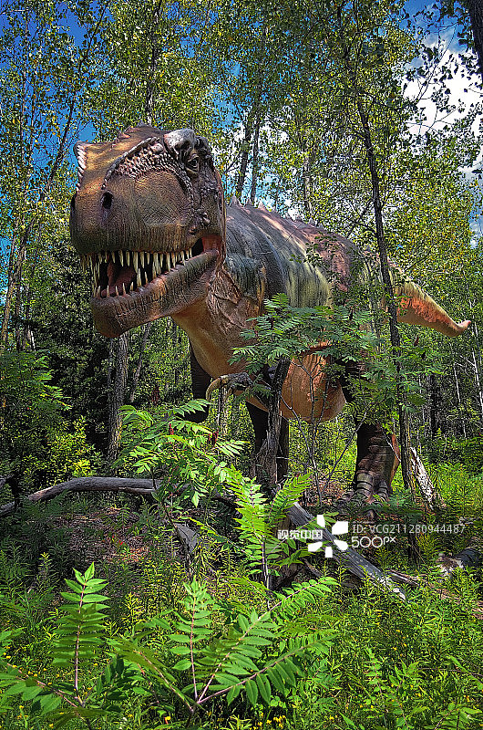 恐龙图片素材