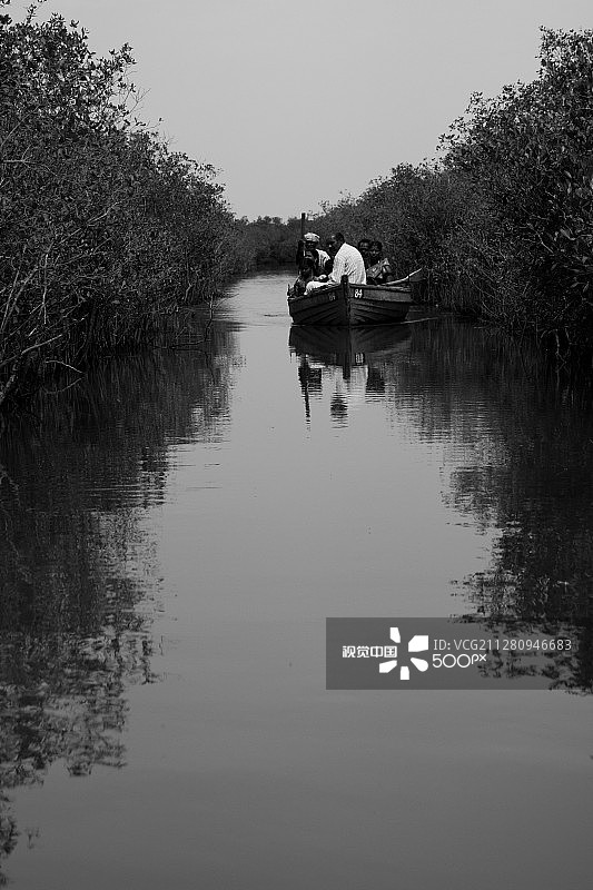 红树林风光图片素材