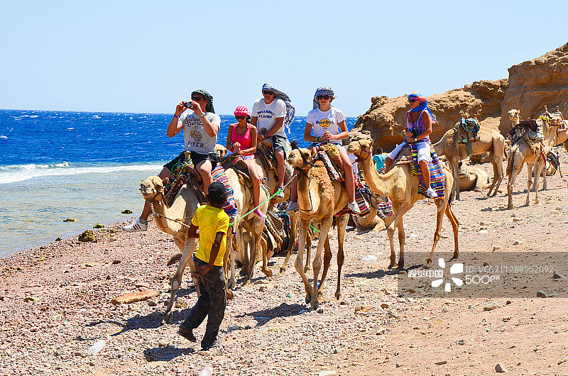 埃及达哈卜图片素材