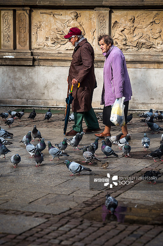 长市场上的鸽子图片素材