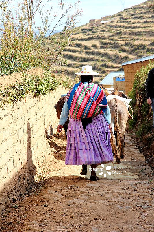 太阳岛图片素材