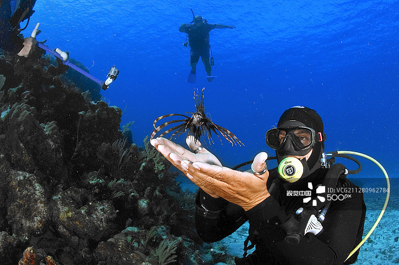 我小而危险的朋友…图片素材