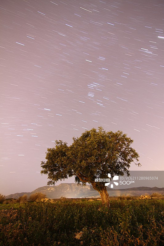 米阿尔加罗沃2图片素材