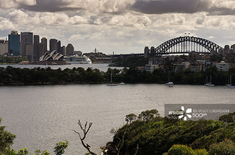 悉尼塔龙加动物园景观图片素材