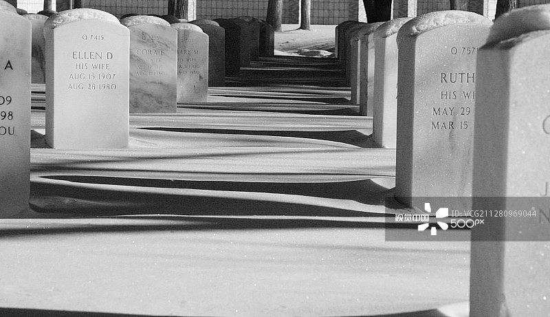 休息中的妻子们图片素材