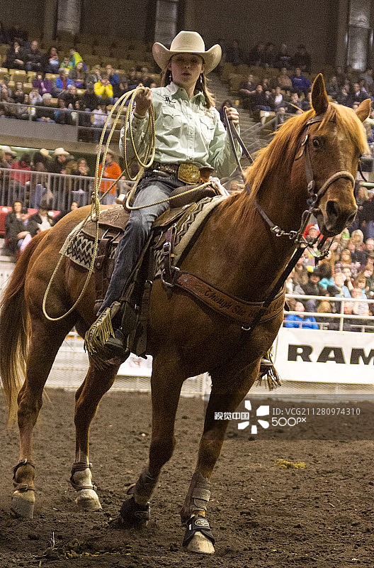 参加牛仔竞技的女孩和她的马图片素材