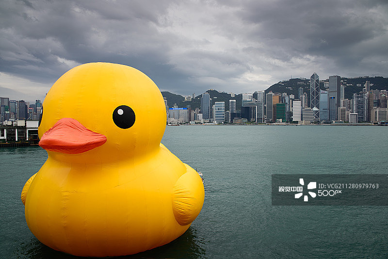 香港的橡胶鸭图片素材