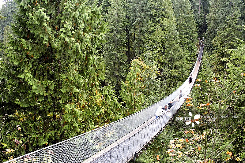 卡皮拉诺吊桥图片素材