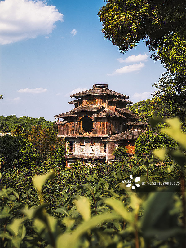 杭州西湖满觉陇龙井茶园春季风光图片素材