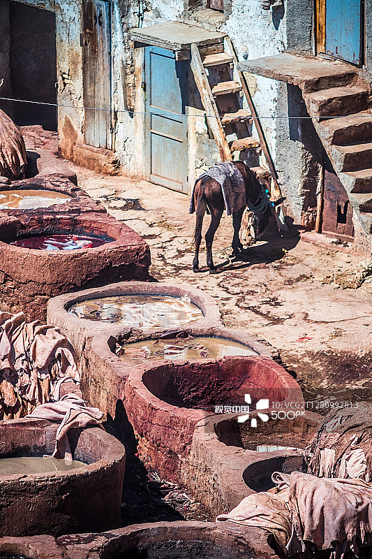 菲斯制革厂的制革工人图片素材
