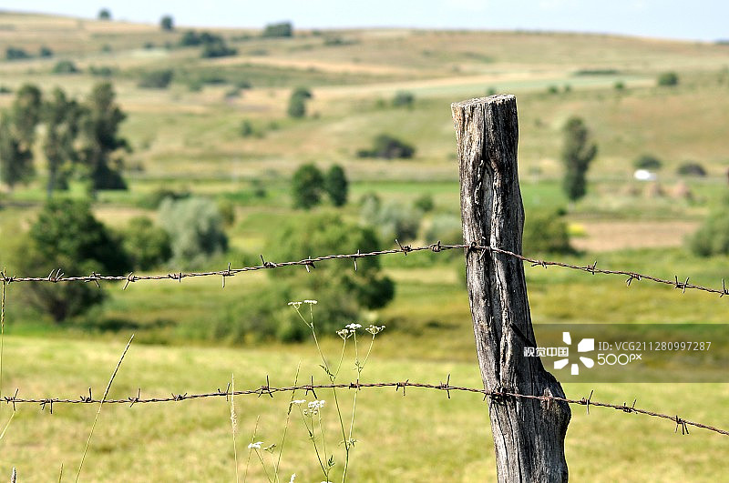 喀尔巴阡花园图片素材
