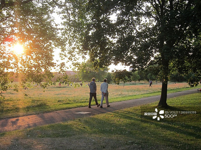 2013年7月热浪期间的伦敦摄政公园图片素材