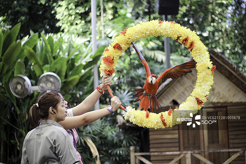 裕廊飞禽公园图片素材