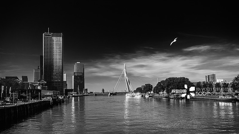 鹿特丹的清晨图片素材