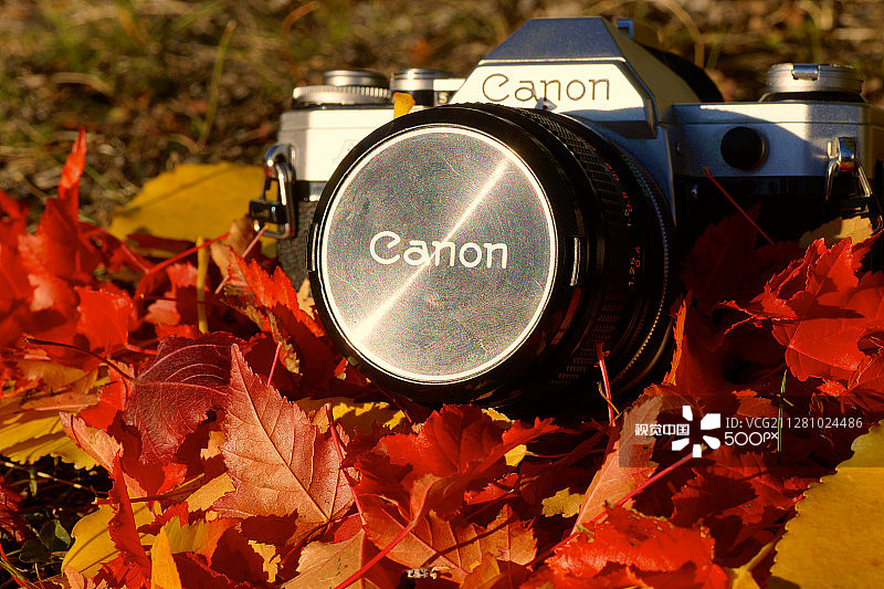 秋天的色彩图片素材