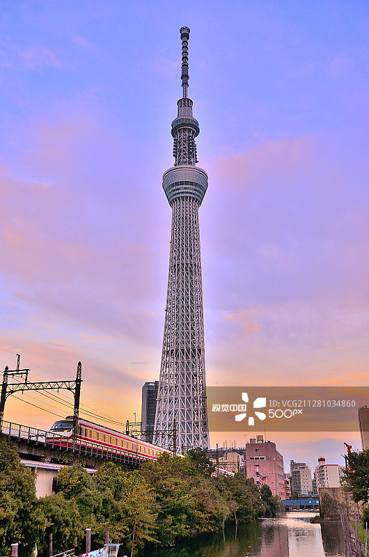夕阳下的晴空塔图片素材