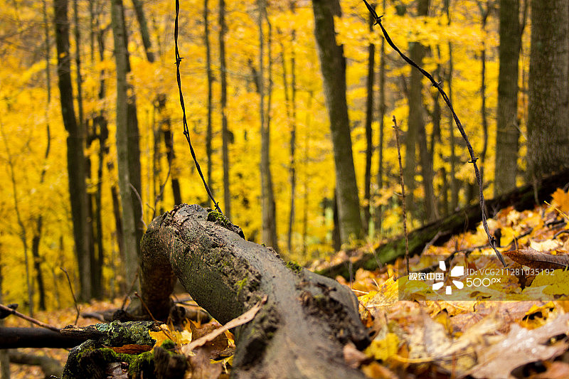 小心脚下图片素材