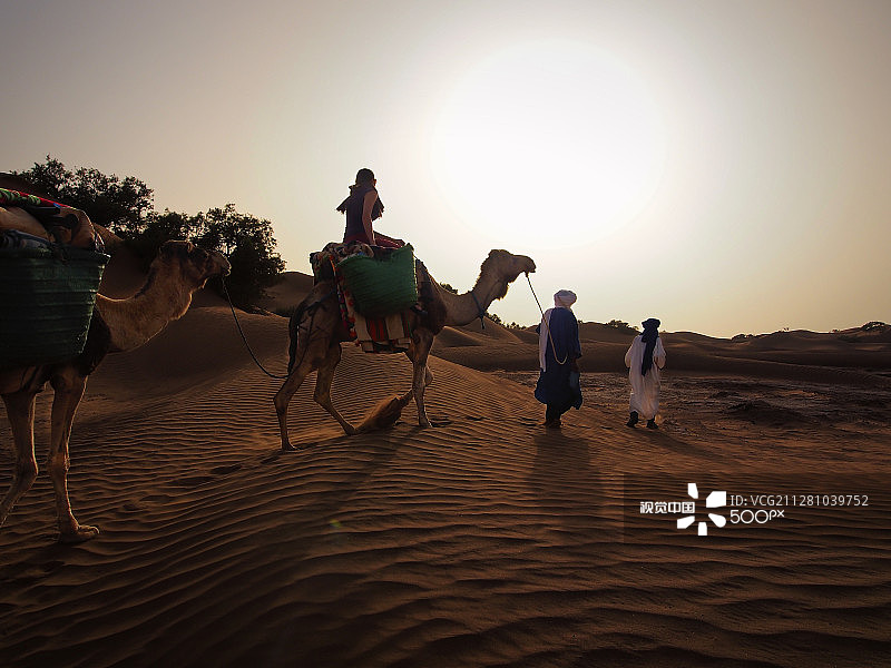 柏柏尔和他的骆驼在撒哈拉沙漠图片素材