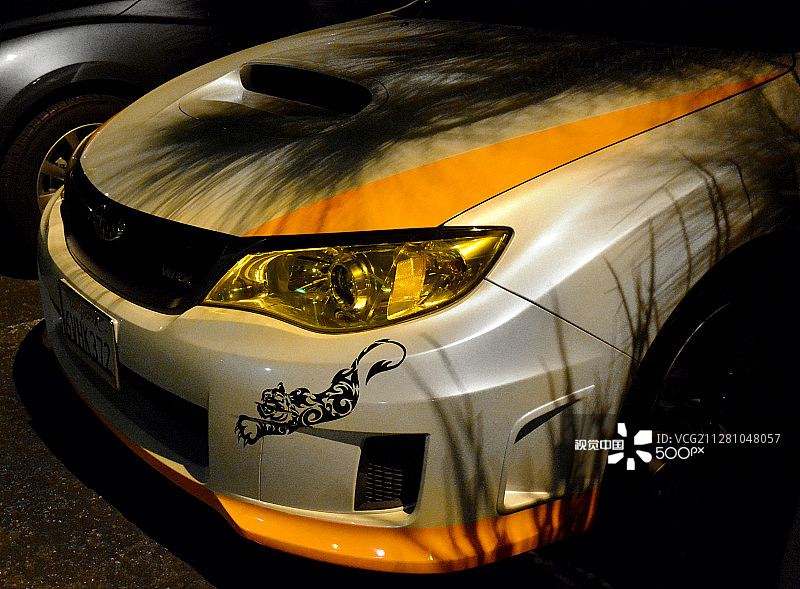 隐藏的老虎图片素材