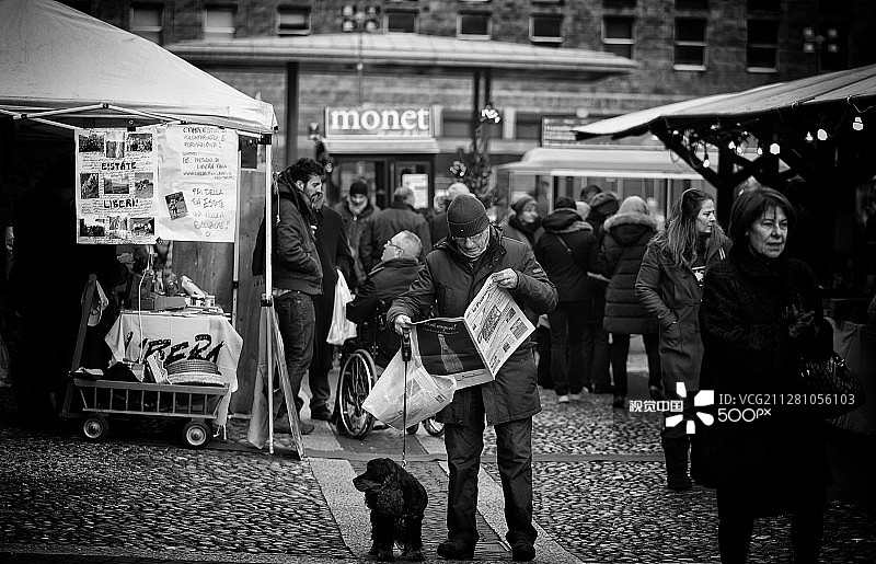 帕维亚的报纸读者图片素材