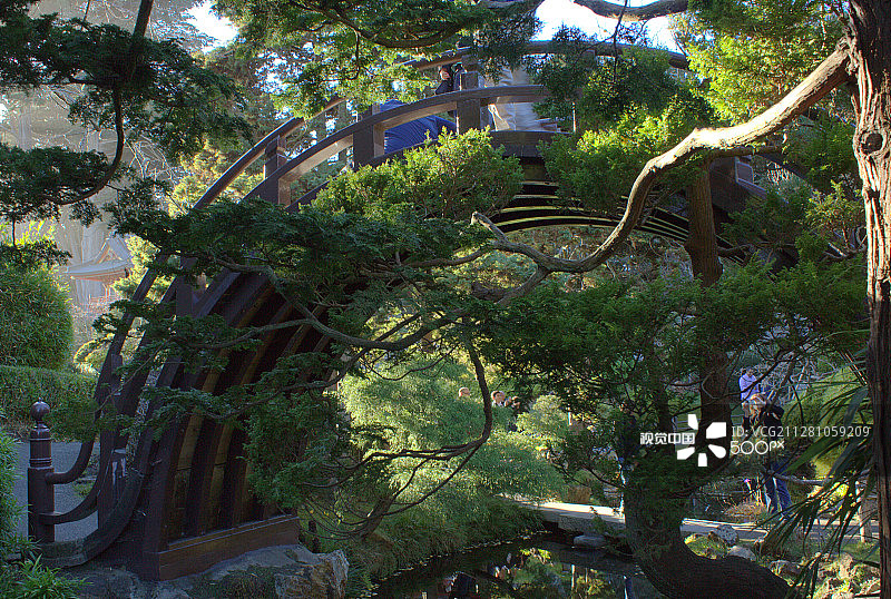 日本茶花园的月亮桥图片素材