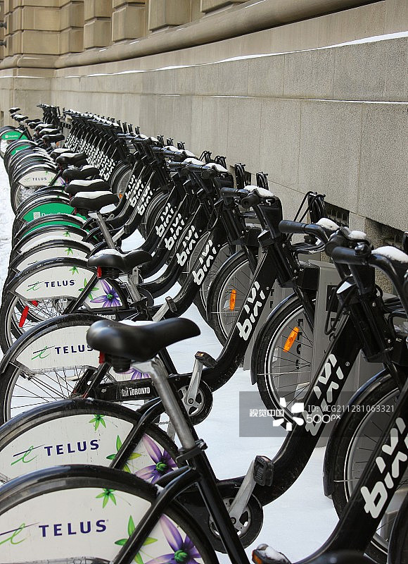 冬季的赑屃图片素材