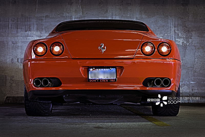 意大利种马图片素材