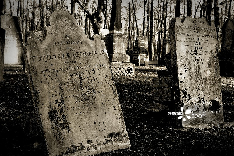 Thomas Hamer的墓碑图片素材