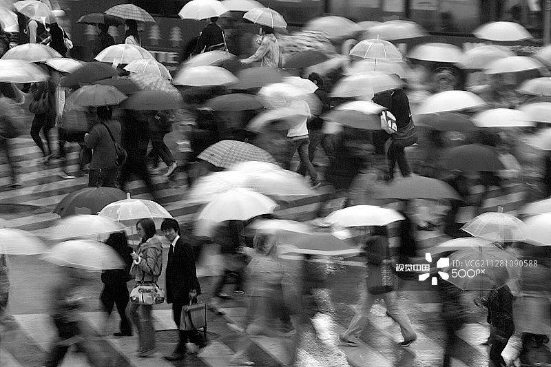 涩谷的雨天图片素材