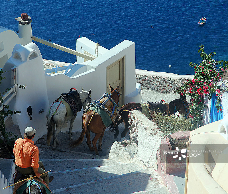 伊亚的驴图片素材