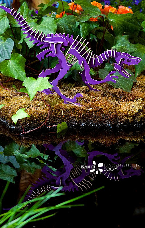 恐爪龙倒影图片素材