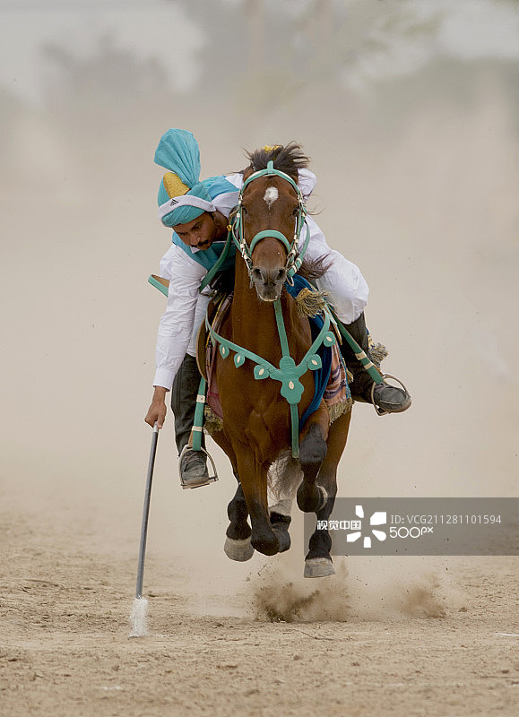 马术射桩图片素材