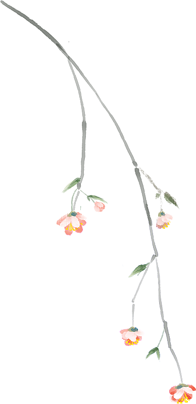 古风海棠花图片素材